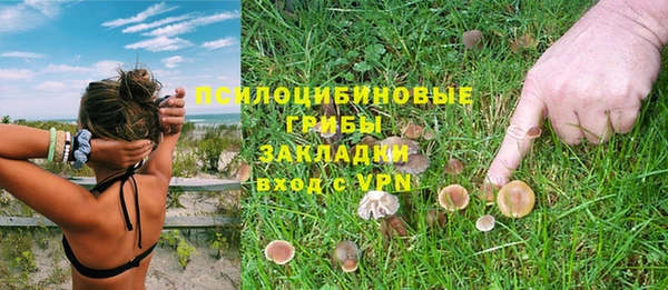 не бодяженный Богданович