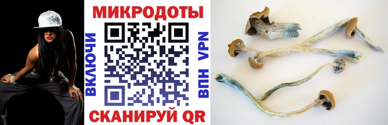 Псилоцибиновые грибы MAGIC MUSHROOMS  MEGA как зайти  Белоусово 